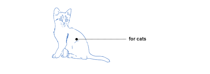 for cat
